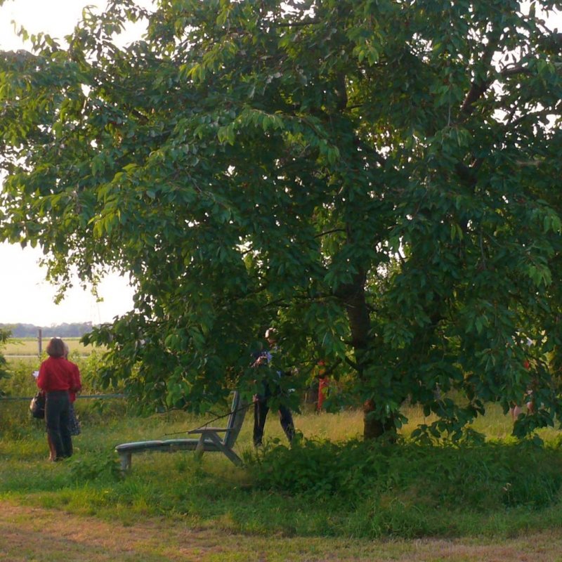Haasenhof Mandelsloh - Café, Kontzerte, Veranstaltungen