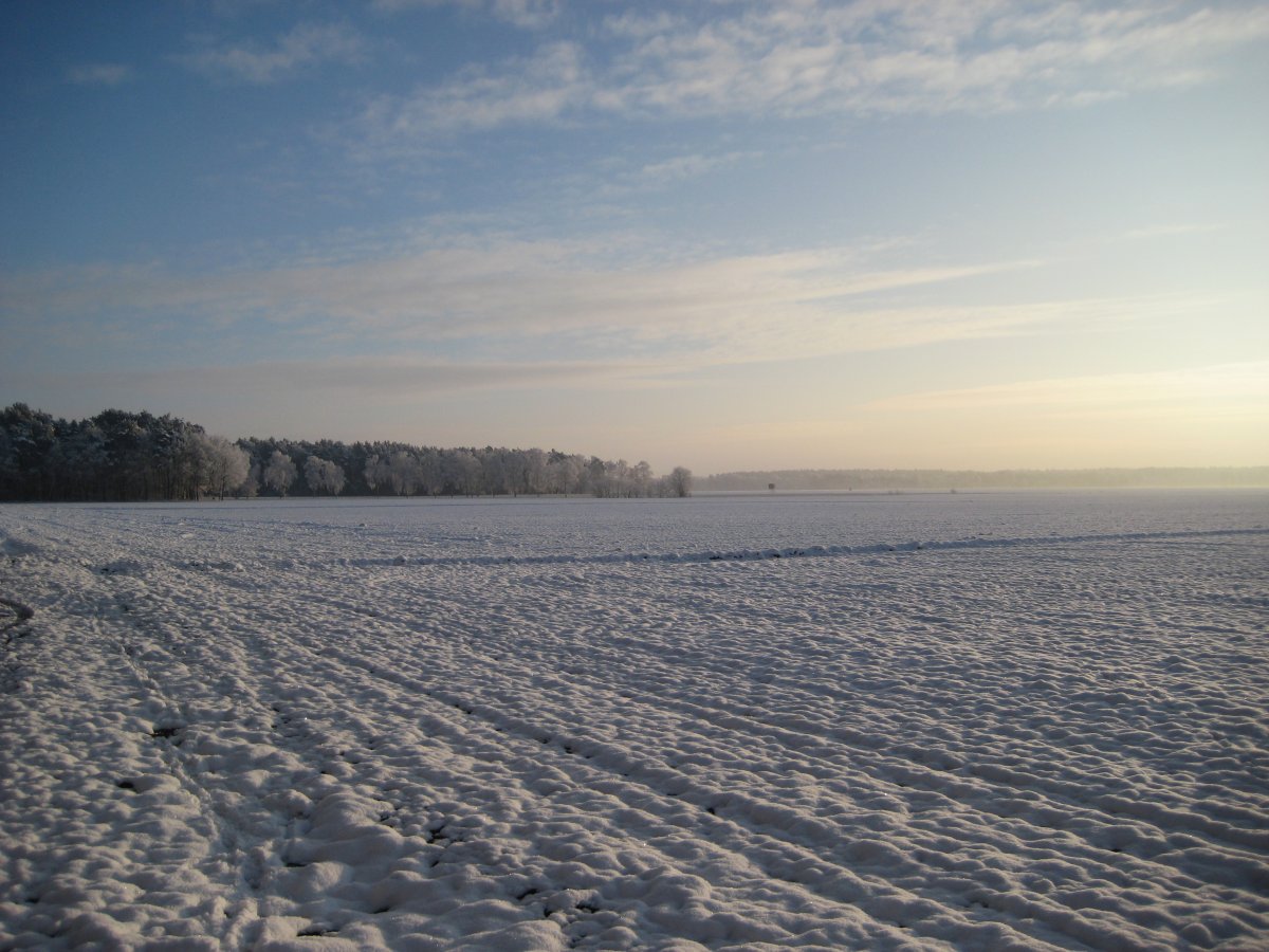 Übernachtung Haasenhof bei Neustadt im Rübenberge